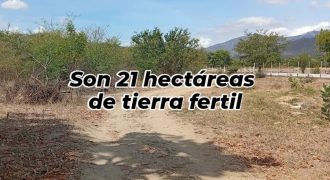 Terreno en El Sisal de Guacara