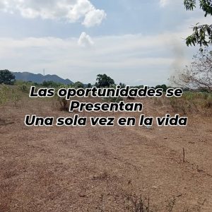 Naguanagua1