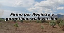 Oportunidad Estratégica: Lote Logístico Premium en Naguanagua