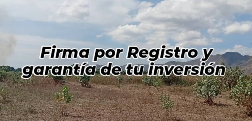 Oportunidad Estratégica: Lote Logístico Premium en Naguanagua